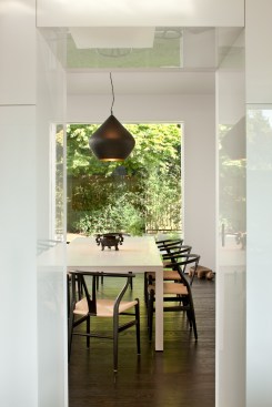 Modern Oasis