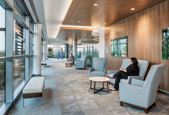 ICU Active Waiting Area and Green Roof