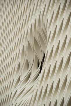 An indentation in the veil has been named "The Oculus" by the architects.