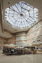 Linetec finished the 1,411-square-foot skylight’s aluminum framing in a Silver mica high-performance architectural coating.