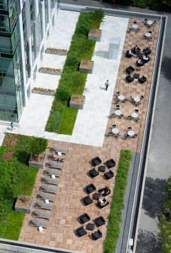 Roof+Deck