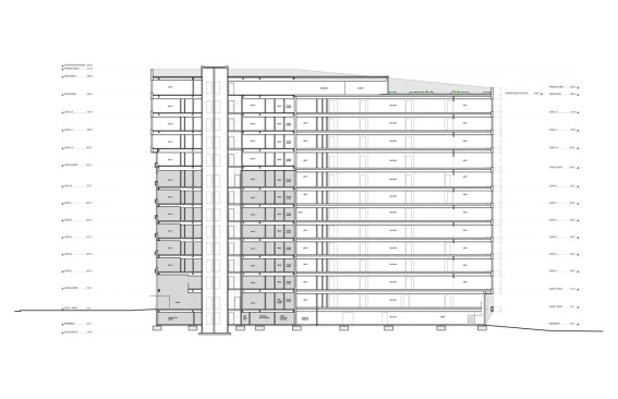 Longitudinal Section