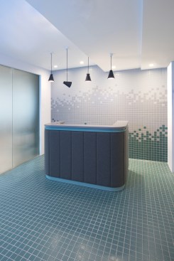 The padded felt wrapped reception desk is reminiscent of luxurious car seating