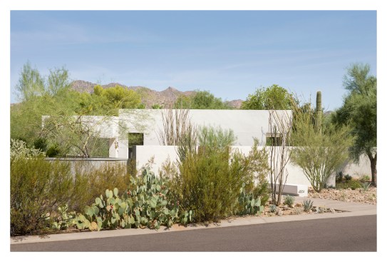 nested in desert landscape