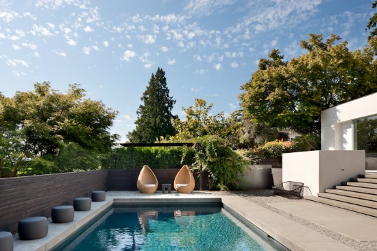 Modern Oasis