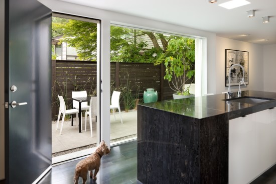 Modern Oasis