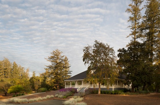 Cole House by Richard Beard Architects