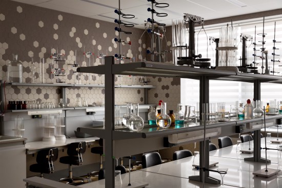The biology and the chemistry lab