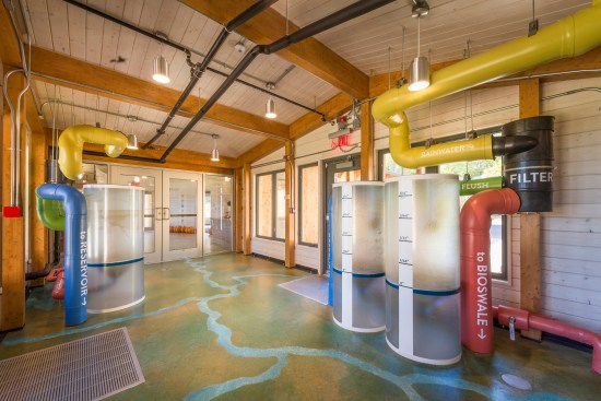 During a storm, four large, clear cylindrical tanks located in the ecotone capture the first 1/16" of rain from the roof. This initial runoff contains the largest amount of impurities. Subsequent runoff flows into a reservoir beneath the nest courtyard.
