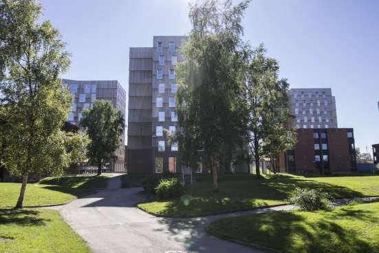 Moholt Student Housing