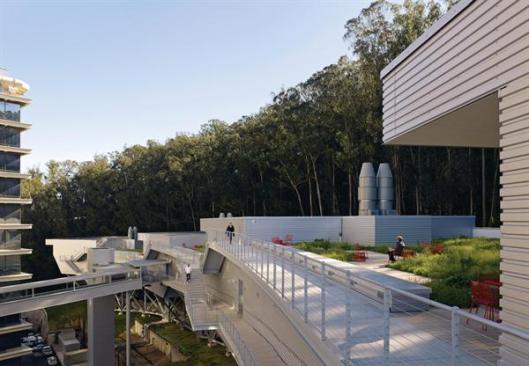 Green roofs and pedestrian access bridge
