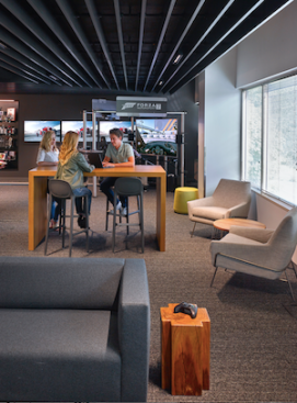 A layered linear ceiling feature inspired by speed and motion weaves through the common areas, visually connecting key moments in the space.