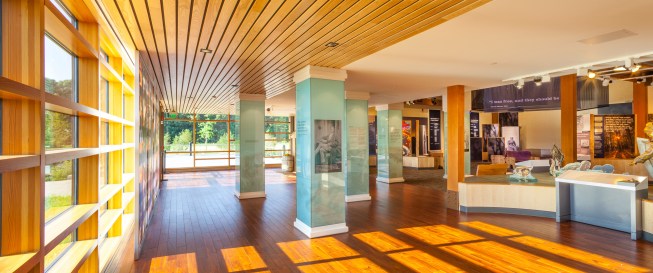 Exhibits