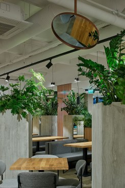 PONAMA architects