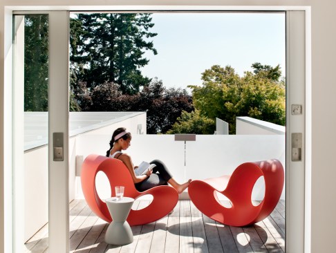 Modern Oasis