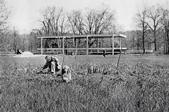 The house during construction