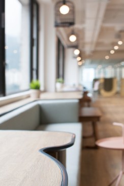 A 20m long signature ‘Bean’ table with integrated cushioned seats facing the city’s racecourse and sports grounds 