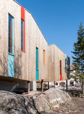 Waldorf School Fredrikstad by LINK Arkitektur; Kebony wood cladding