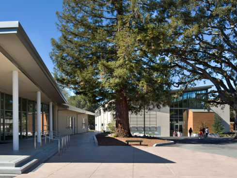 The CADC collaborates with the Athletic Center to define a new campus open space around existing trees.