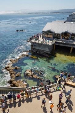 Tide pool