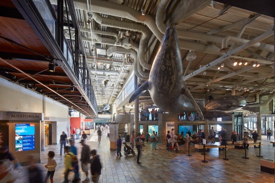A view of Monterey Bay Aquarium’s first floor, looking northwest toward the sea otter exhibit.