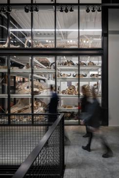The Burke Museum | Olson Kundig