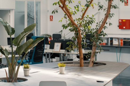 Ficus Office