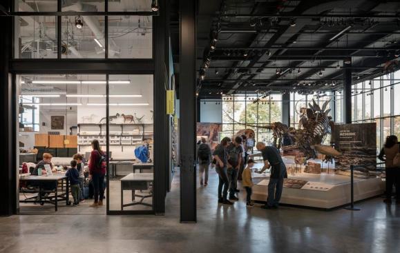 The Burke Museum | Olson Kundig