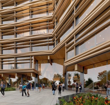A series of layered views and sensory experiences—from oak habitat to outdoor terraces to double-height timber atrium and beyond—create an inviting destination for employees and visitors alike.