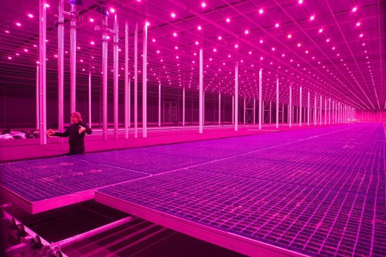 "Countryside, The Future," a collaboration between the Guggenheim and AMO / Rem Koolhaas, examines radical changes transforming the nonurban landscape and culminates in an exhibition at the Solomon R. Guggenheim Museum, New York, opening February 20, 2020. From the 2019 Graham Foundation Organizational Grant to Solomon R. Guggenheim Museum for the publication "Countryside, The Future"