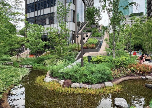 A pond with diverse vegetation emphasizes water's critical function in the landscape.