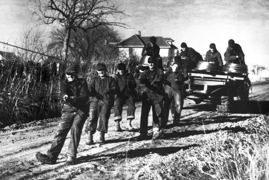 It cost $5 to hook into a local co-op. Trading their labor for the $5 fee are the farmers shown in the photos, pulling the last miles of wire in Horton, Kan., in 1938.