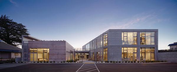 Offices looking out onto courtyard
