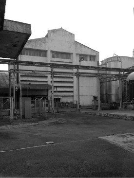 BEFORE: Co-Gen Plant 2 