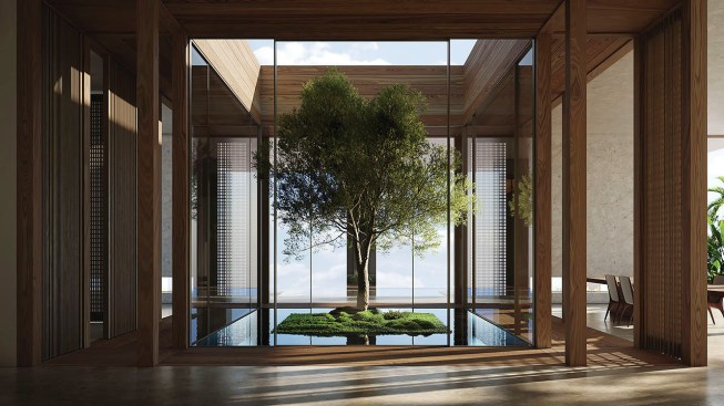 A tree inside a 20,000-square-foot-residence in India, by ODA