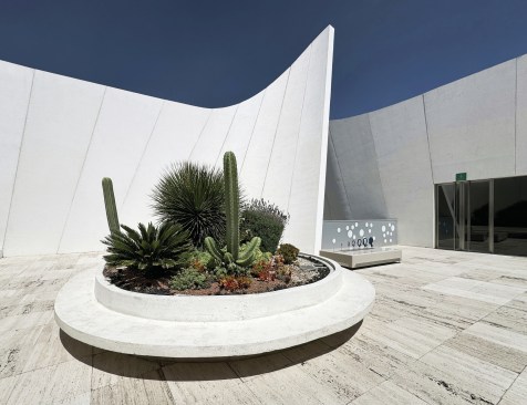 A contained garden on the museum's roof terrace.