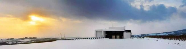 Temet winery in Lozovik