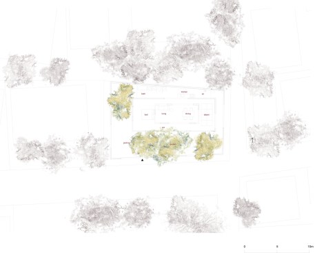 Plan.