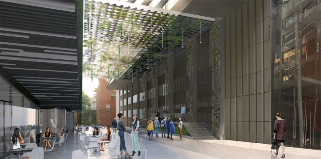 Rendering of canopy (July 2015).