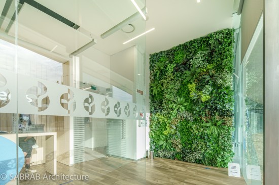 clinica dentária - dental clinic