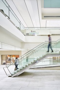 The large public areas are colour neutral to provide a calm, light-filled waiting space and to accentuate clinical areas by their distinct colour tones, which are visible from the atrium.