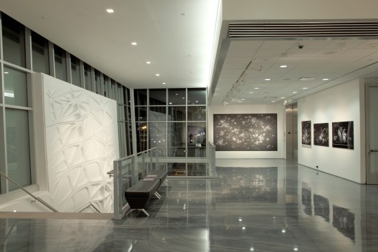 Zuckerman Pavilion_1