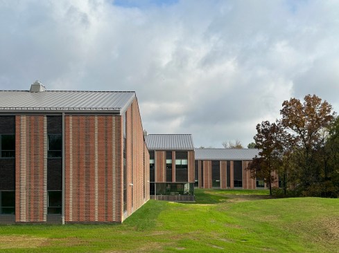 East Facade Wrapping Existing Trees