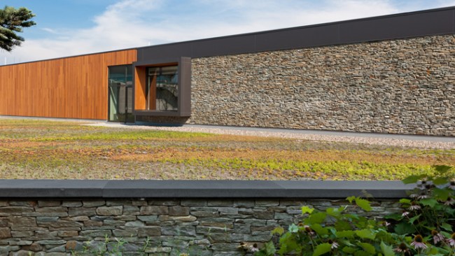 Green roof with foreground wall