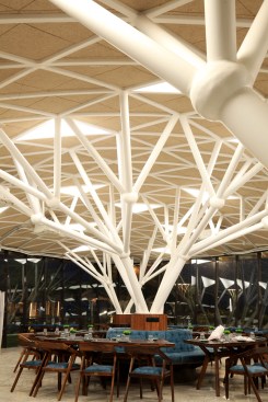 Treelike columns & leaf veins in  roof
