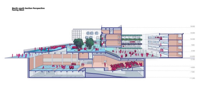 North-south Section Perspective-Facing West