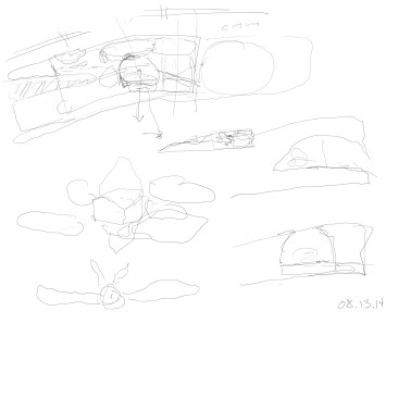 Sketch of Program Adjacencies and Atrium