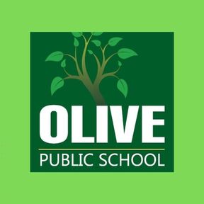 Do not take admission in Olive Public School
