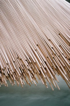 Detail of rattan fibers by Aurélie Hoegy.