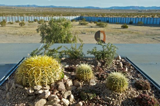 A 160-square-foot green roof made up of drought-tolerant, native plant modules is placed on the second floor shade framing.